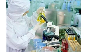 合肥食品检测：转基因食品有哪些检测方法？